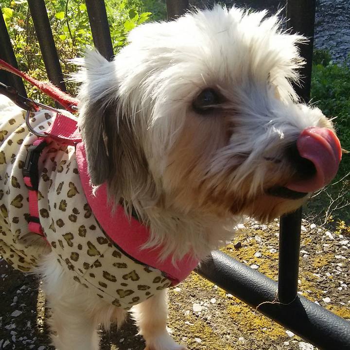 9288abc1 f64d 413b 9535 42380a9384b6