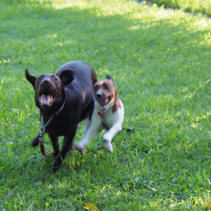 9289825b a35a 4901 ba53 9a82cf26f73e