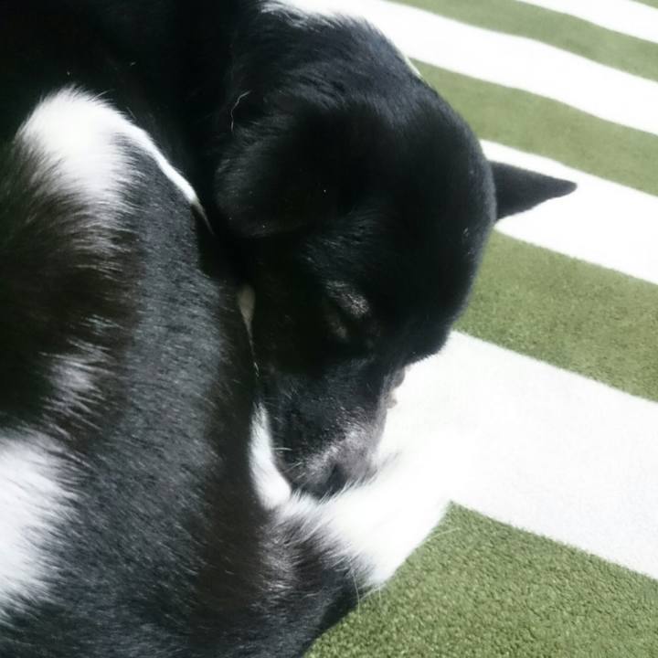 9289c9d5 df93 41b6 92cd 34b959217059