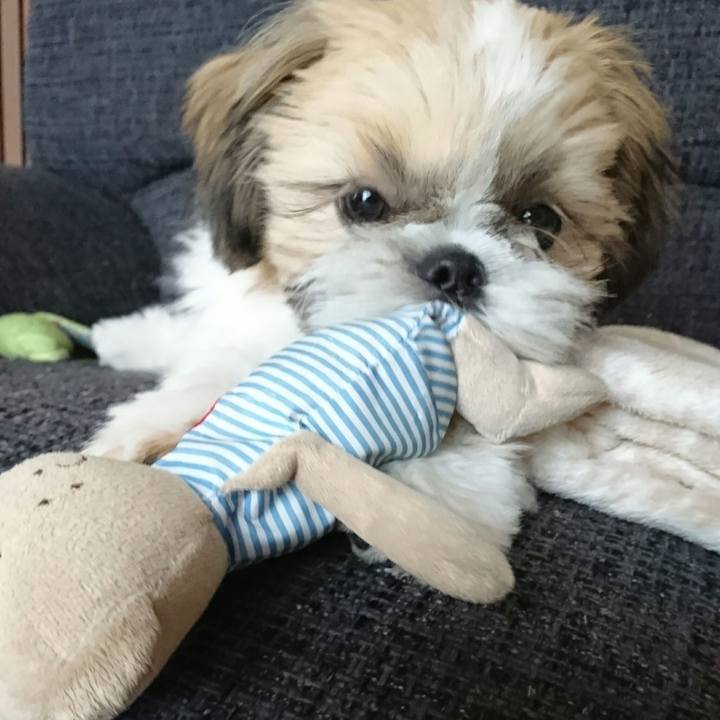 928a19c1 96f0 422a 986c 5c22ac416059