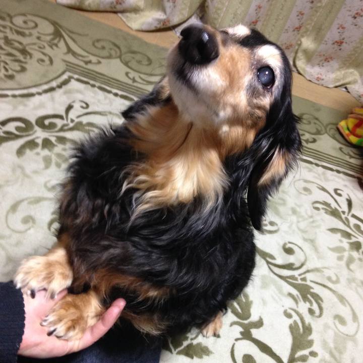 928a354f 8a01 4084 aa25 d4e54d6d34c0