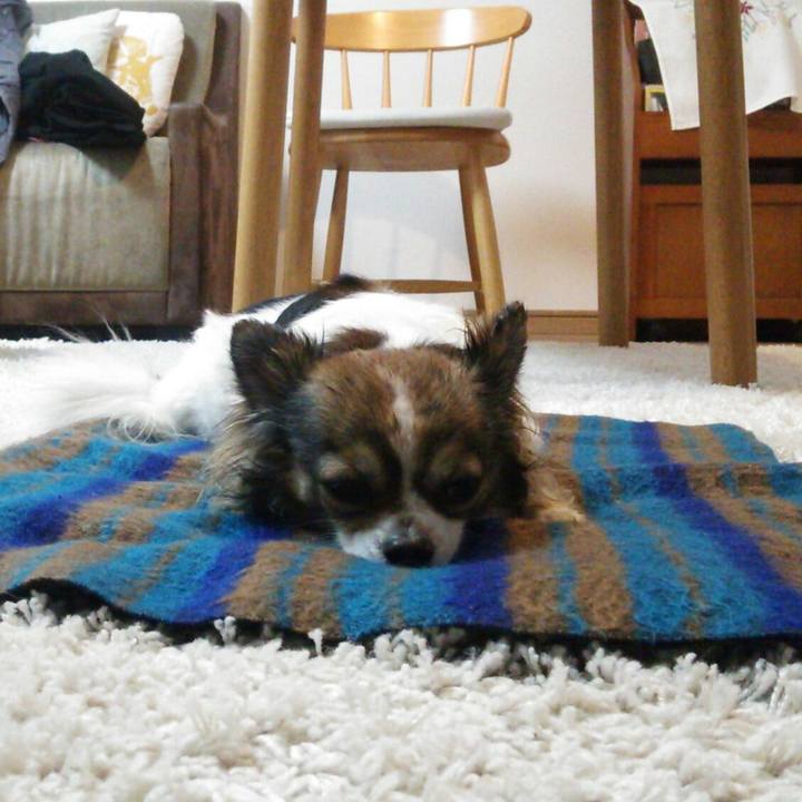 928aa89f 984b 4c66 8c97 1bf7c21e8029