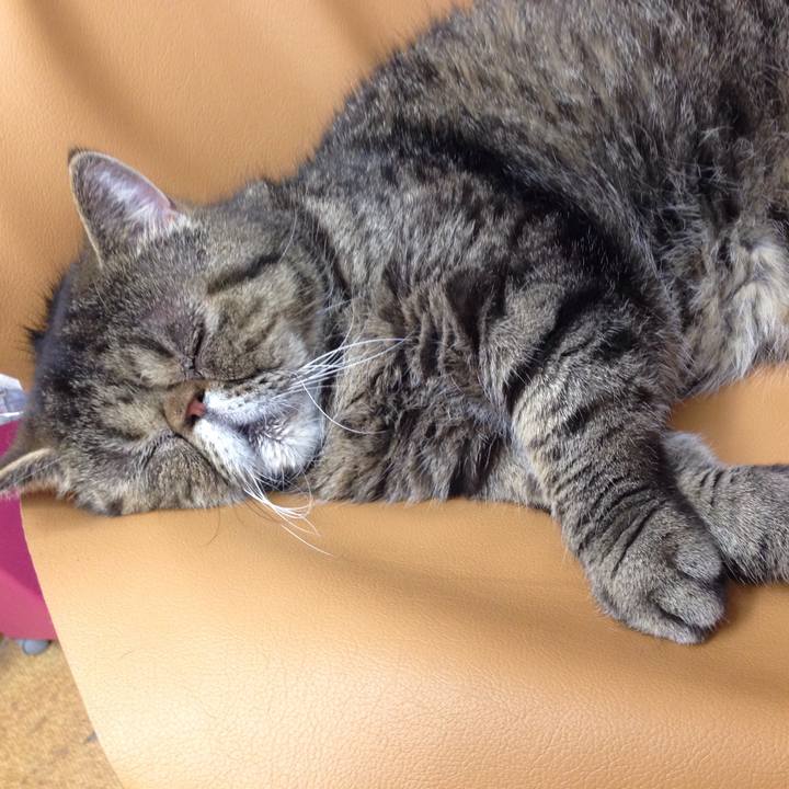 928aad39 ca3c 4e21 9d7b c777ac812785