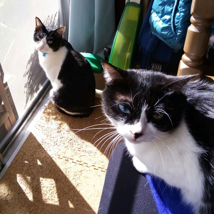 928ae03a a5d0 473b 84c1 0cff78147a07