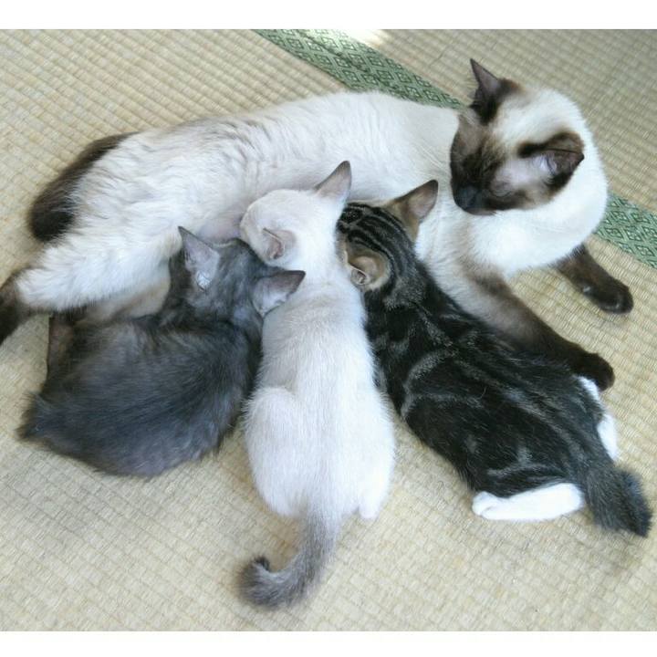 928ae71c f3ab 44bb 971f 05efc46923f4