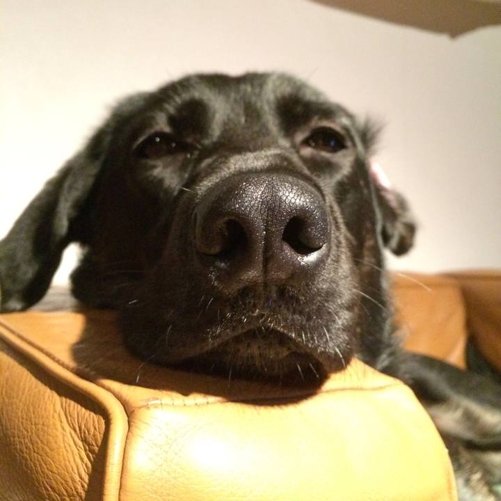 928af909 6cee 4c2b 8d2b 3d461187a932