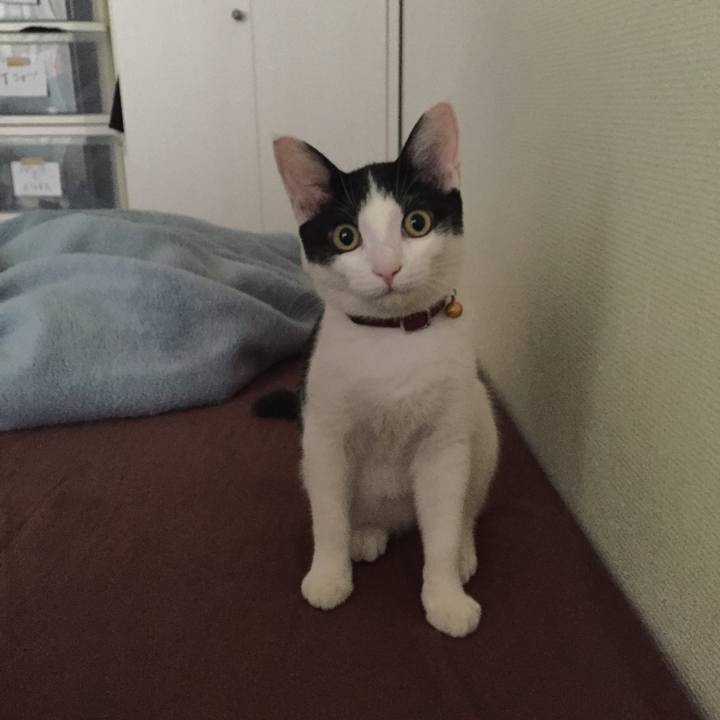 928b3a41 6e6e 4317 9e2a dba9926650ea