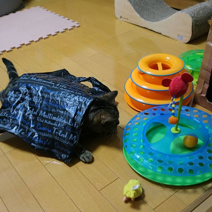 928bb7aa 8431 4ea4 93da de4400d11b2a