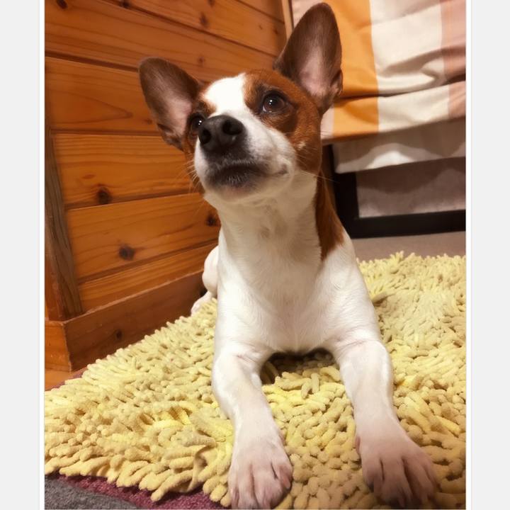 928bd600 a3d0 4231 8f05 d6f4d2ff1937