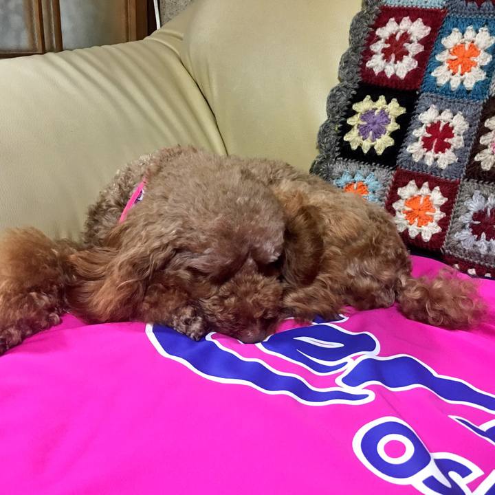 928be60d b833 434f bc63 ff86083c7112