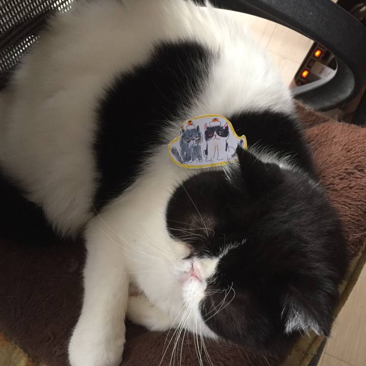 928c7cb6 d819 4c2e 8d9b f4e0d1554a2f