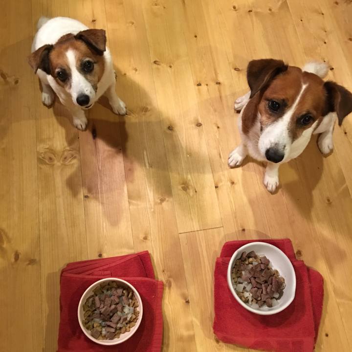 928c9fa0 012b 4ada 9fc1 1dc85b360edd