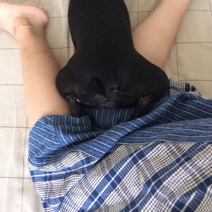 928d1788 55ed 4f5d a3df 378d640dff1d