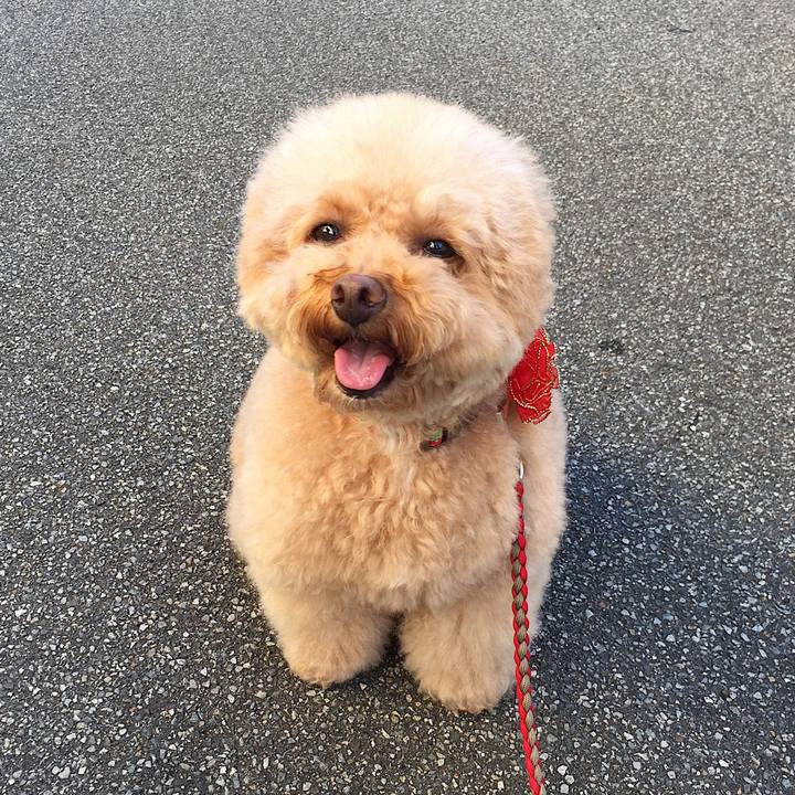 928d1e1f 5f7b 4eb1 b5d1 4be6ab0453fa