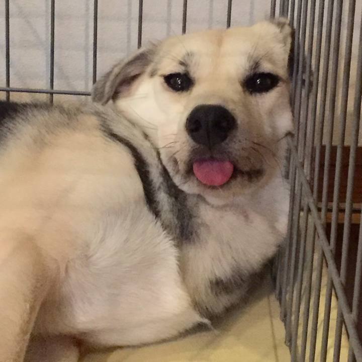 928da7bc b4a3 4bd8 a9e3 34cd959874bb