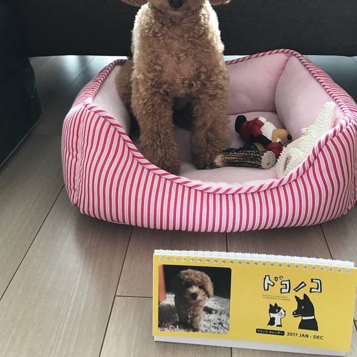 928dff7e b716 4c57 995c de9dc4e663f6