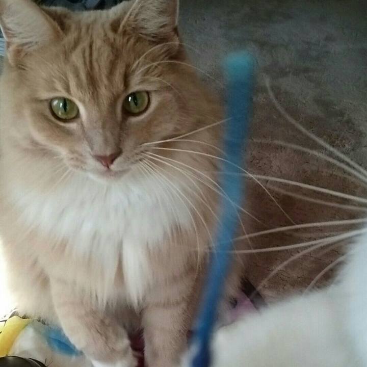 928e211f 7751 4131 bd58 72670f765bcd