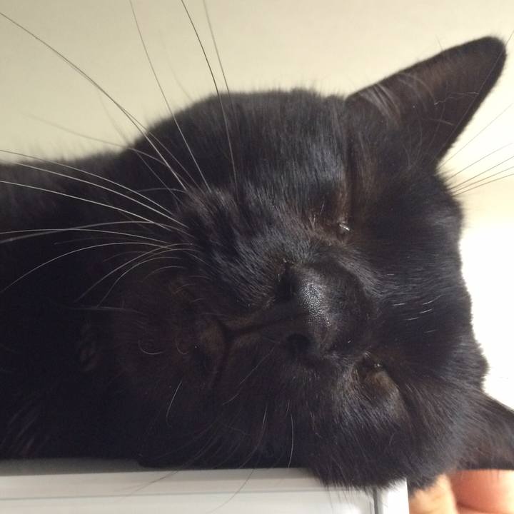 928eacf9 27e1 46b5 aa8c 89171e8fdb33