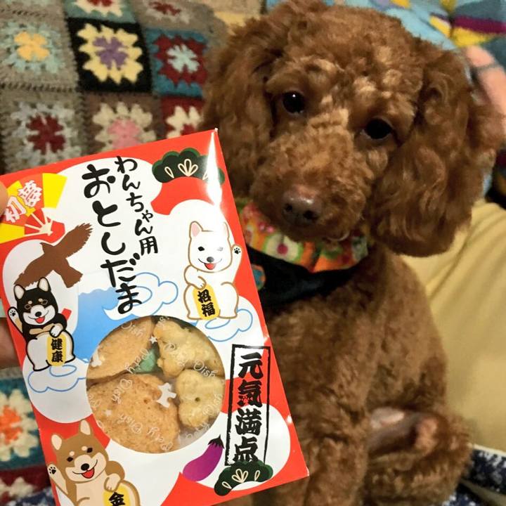 928f7cc1 3745 465a bde3 23b00c62cda3