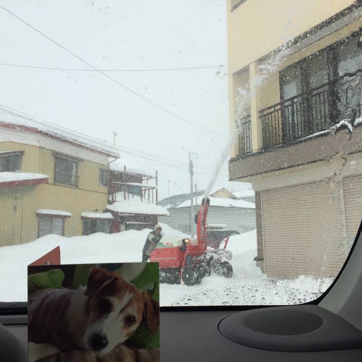 928ffc50 af75 4e1d a1d1 7eb7781f5651