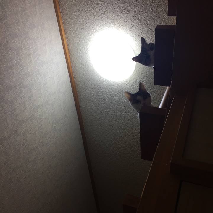 92920343 b073 4f28 87ba e15f8b1ee5ef