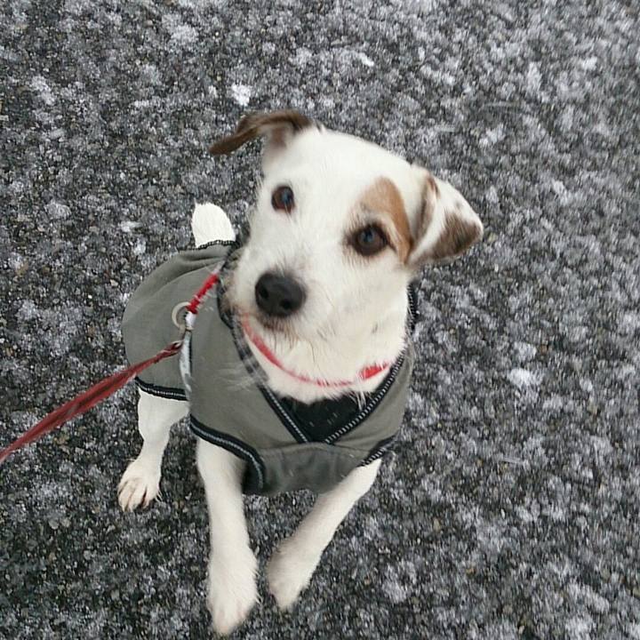 92924237 1fb0 4418 8c10 2929146c0941