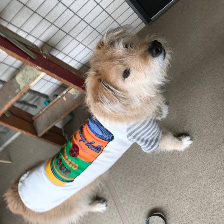 9292a06d bb22 4125 8ab3 8585bc8e8857