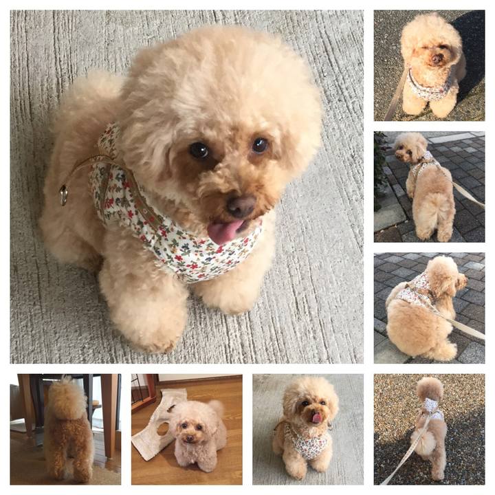 9293c98e 419a 4398 b458 81f4b6a3eda8