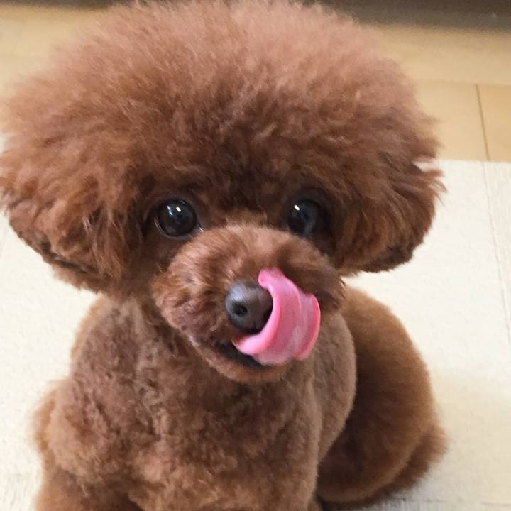 9293df75 4075 4725 8fe2 a7be98ce93f2