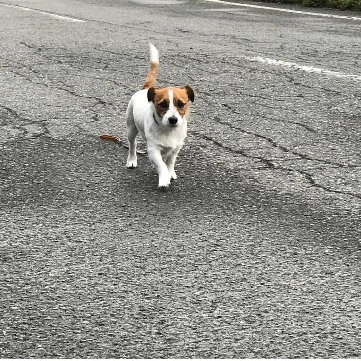 9293f9a1 ebb0 4ffa aa24 41416b7d257a