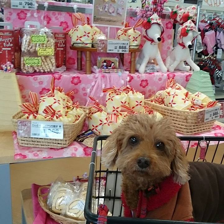 92940527 8709 475f a2ba c76f5dd527df