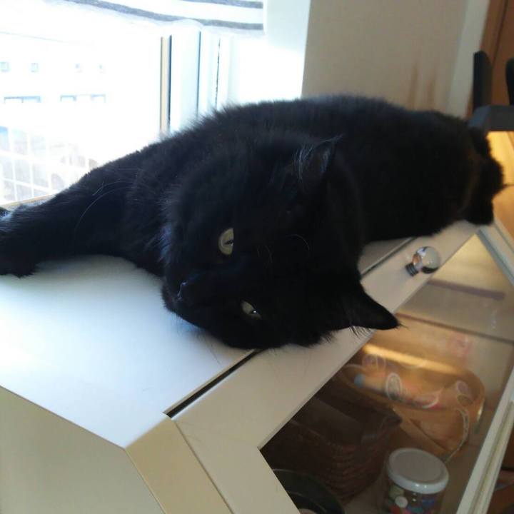 9294fe4e d048 4689 85b5 40687e088c5a