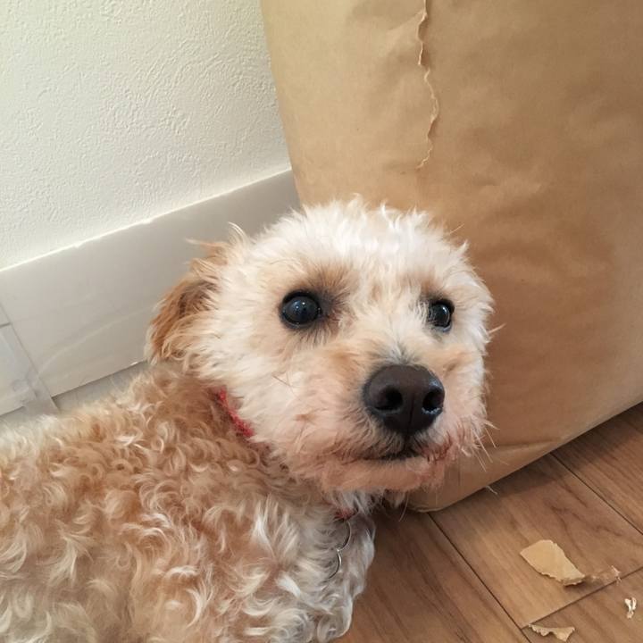 92955cef 507f 4fee 82b6 7868c83f4d50