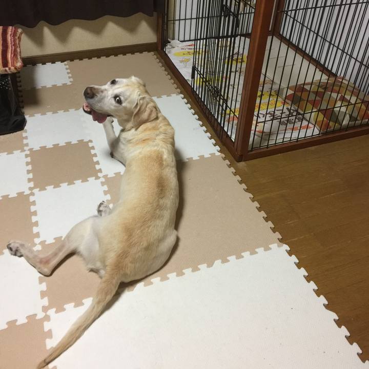 9295aac0 1858 4d08 8575 3a60931ee0f9