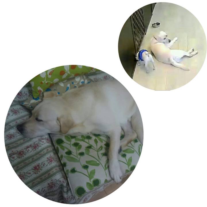 9295b8aa d649 4e29 9cfa aa5dc4163d01