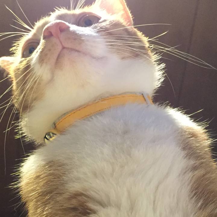 9295ecbd dfd3 4dba b258 b64649cf518d