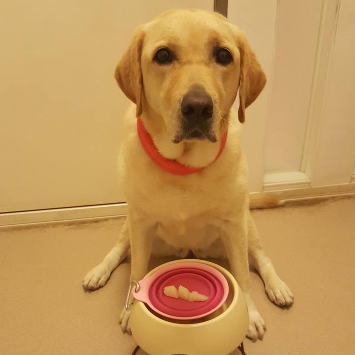 929620ab c801 44ff 8e92 5520ef002408