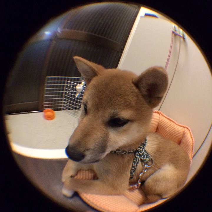 929629a9 9362 4ec5 a884 34a7b8cdd0cc