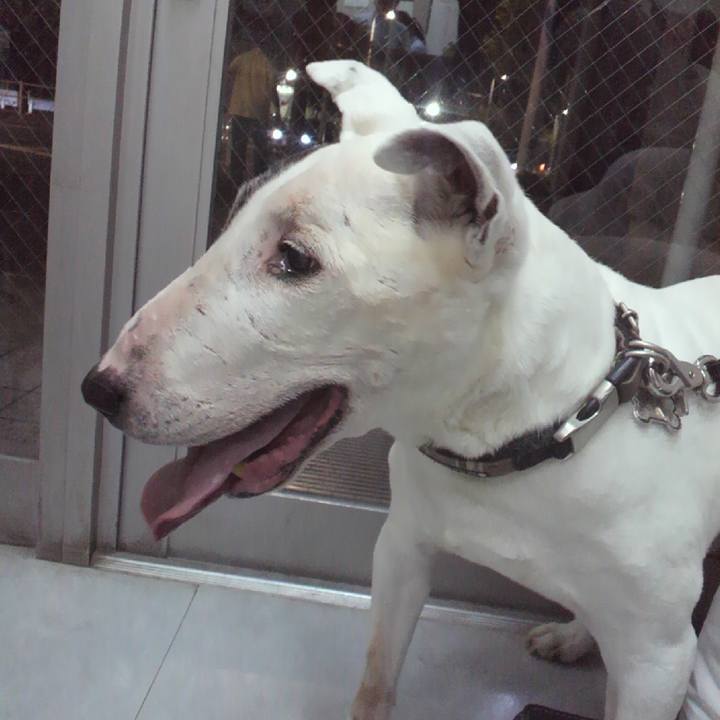 92964c15 b9e0 48b6 8726 fc23bb69fa10