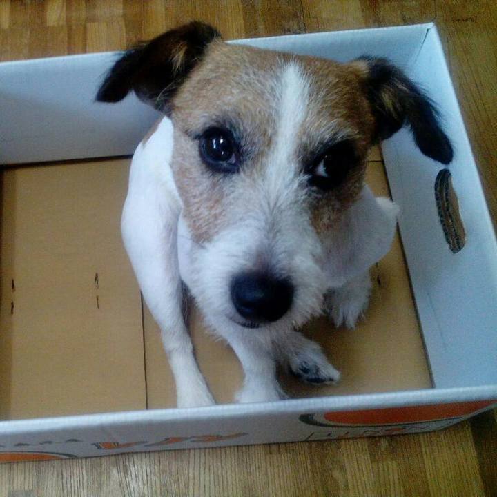 9296ec85 071e 4030 abbf f586751a29a1