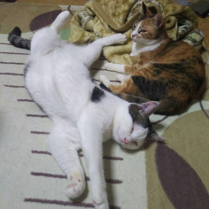 929735ae a3bb 4558 b399 c76623b4049f