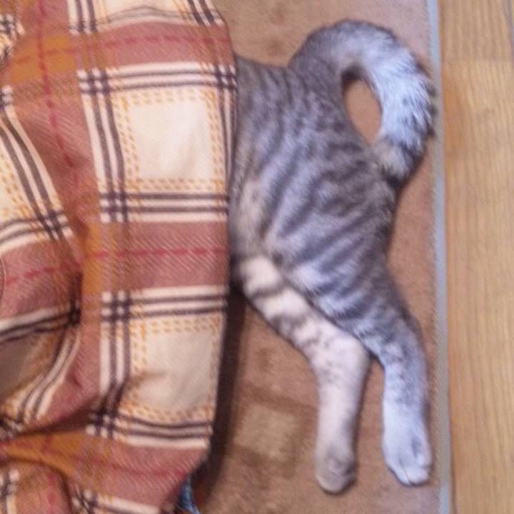 9297ea78 f32f 4747 8584 16eddffc4610