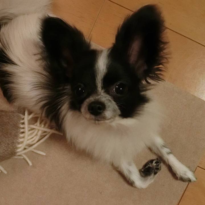 9298b277 ac84 4b5c a715 652596dc8248