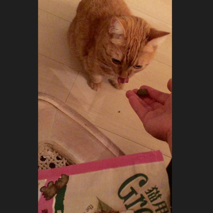 9298d5f3 1f1a 4c84 afd9 9b81cb612645