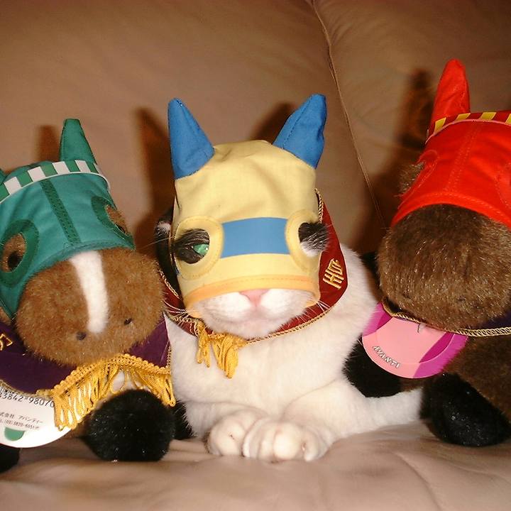 9298fbd6 13ac 4786 852b a53f356ceac9