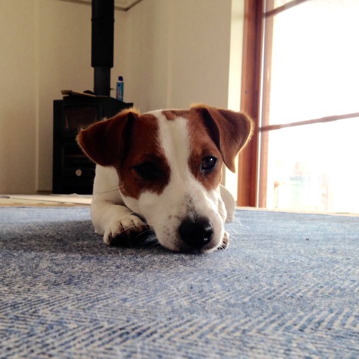 929a04ef 3151 4edf 9e6e 9113fcc5c36f