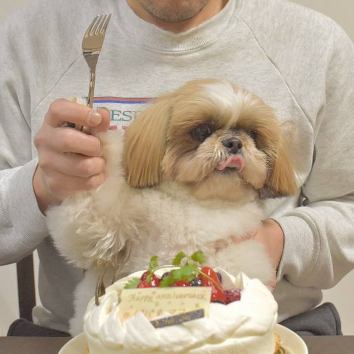 929a380c a63d 420f a488 7940eeef0db1