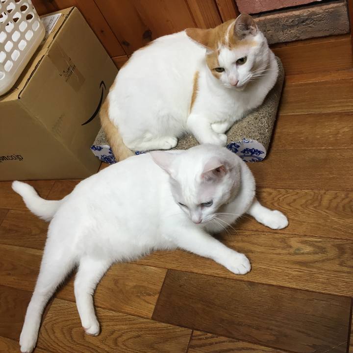 929a8760 e304 4f3f a41d 28de16c258bd