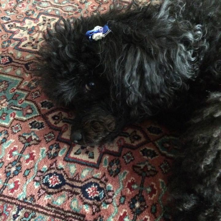 929aad20 02f9 4d61 907f a888076d1987