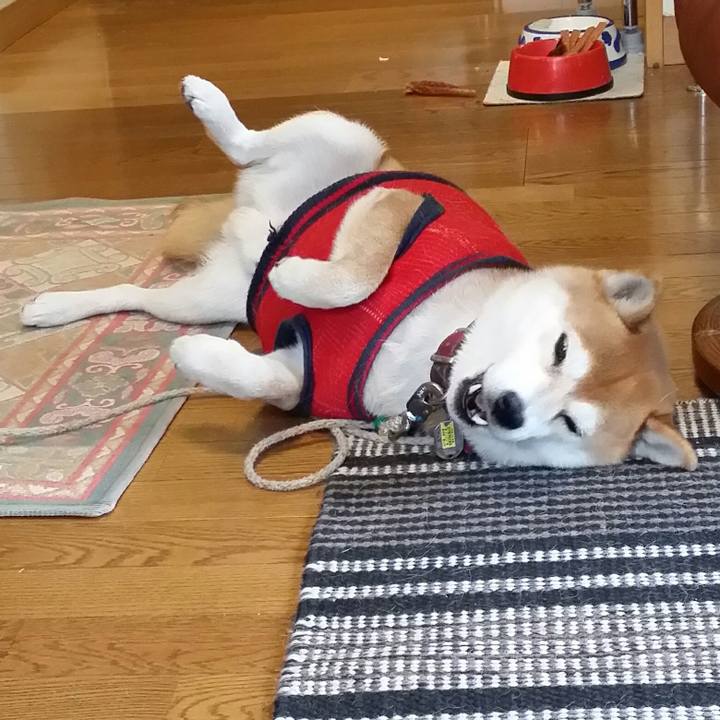 929b4847 350d 4b7e a92a e2381cbb8ff2